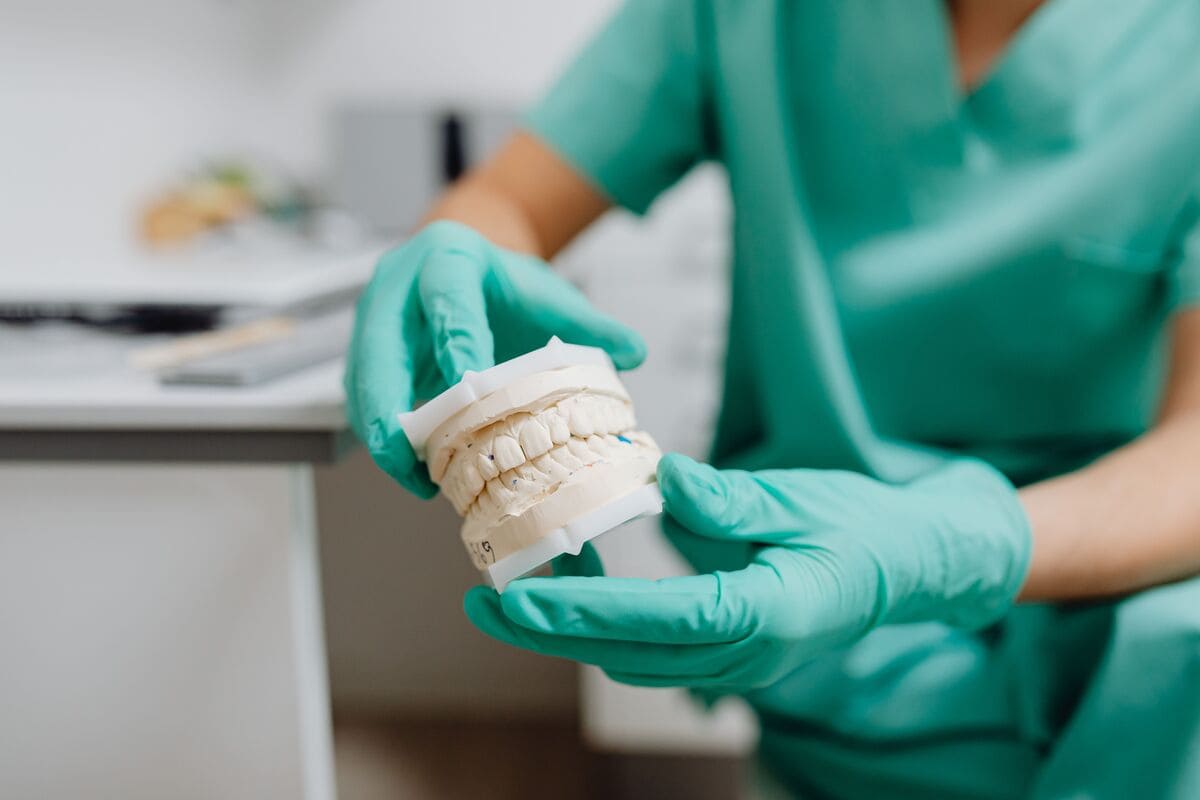 Dentysta Chorzów prywatny – model uzębienia prezentowany w gabinecie stomatologicznym.